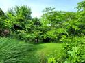 View of the spacious backyard, surrounded by lots of overgrown trees and plants at 6003 S 125 W, Trafalgar, IN 46181