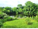 Picturesque pond surrounded by lush greenery and trees at 6003 S 125 W, Trafalgar, IN 46181