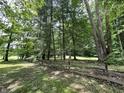 Scenic view along the property line with lush greenery, mature trees, and a rustic wooden fence at 1980 S Arthur Rd, Paragon, IN 46166