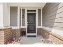 Close-up of a home's entryway, showcasing a black door, stylish accents, and planters with colorful flowers at 10262 Rieslaner Cir, Zionsville, IN 46077