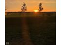 Picturesque sunset view over the property's vast green fields, providing a tranquil and serene backdrop at 1980 Bridlewood Dr, Franklin, IN 46131