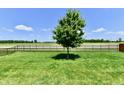 Spacious lawn with a large tree and black fence overlooking a grassy field at 21536 Gisborne Dr, Noblesville, IN 46062
