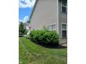 A side yard featuring vinyl siding and a landscaped area with trimmed bushes at 8333 Pine Branch Ln, Indianapolis, IN 46234