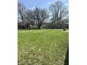 Picture of large green backyard with view of mature trees on a clear day at 5453 David St, Indianapolis, IN 46226