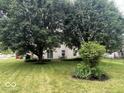 Large backyard with mature trees providing ample shade at 10780 Affirmed Dr, Indianapolis, IN 46234
