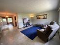 Inviting living room with a blue rug, comfortable seating, and natural light at 31 S Sugar Creek Dr, New Palestine, IN 46163