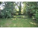 Lush backyard featuring mature trees and greenery, creating a private and serene outdoor space at 3443 N Chester Ave, Indianapolis, IN 46218