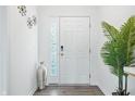 Bright foyer with decorative door, glass accents, a silver vase, and a leafy green plant at 7301 Deerberg Dr, Indianapolis, IN 46259