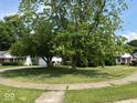 Lush front yard featuring mature trees and green grass at 4912 Atlanta St, Anderson, IN 46013
