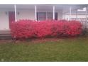 Landscaping near the front porch of the house, featuring a healthy, red bush at 6052 N Deckshire Ln, Shirley, IN 47384