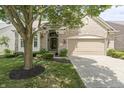Attractive brick home featuring neat landscaping, a shady tree, and a driveway leading to a two-car garage at 13172 Duval Dr, Fishers, IN 46037