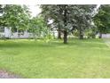 Lush green backyard with mature trees, providing a private and serene outdoor space at 220 S 2Nd St, Summitville, IN 46070
