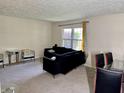 Cozy living room featuring a dark sofa, plush carpet, and natural light from the window at 9621 Gemini Dr, Indianapolis, IN 46229
