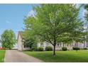Traditional home with mature trees, green lawn, and inviting curb appeal at 1246 Valdosta Pl, Westfield, IN 46074