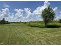 Expansive green space with a tree and clear skies creating a peaceful atmosphere at 1406 Bigleaf Cir, Sheridan, IN 46069