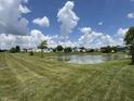 Scenic view of community pond surrounded by lush greenery and well-maintained lawns at 1406 Bigleaf Cir, Sheridan, IN 46069