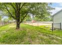 Fenced backyard with a mature tree and grassy areas perfect for outdoor activities at 2443 S Brandywine Ct, Greenfield, IN 46140