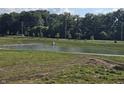 Scenic community pond with lush greenery, offering a tranquil and picturesque view for residents at 3142 Lennon Ln, Indianapolis, IN 46235