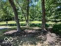 A view of the community pond with lush grass and mature trees at 8577 One W Dr # 301, Indianapolis, IN 46260