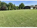Expansive front yard with lush green grass and mature trees offering privacy and a beautiful view at 474 N Kristi Rd, Martinsville, IN 46151