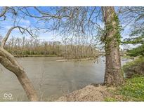 Scenic river view framed by trees, showcasing waterfront beauty with a tranquil atmosphere at 2230 E 75Th St, Indianapolis, IN 46240