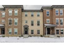 Charming brick townhouse showcasing a welcoming front door and beautiful architectural details at 307 Wakefield Way, Zionsville, IN 46077