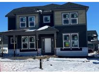 Two-story home with gray siding, black roof, white trim, covered porch and snow covered lawn under bright blue sky at 14390 Bishop Birch Pl, Carmel, IN 46032