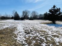 Large lot with mature trees partially covered with snow on a bright, sunny day at 8676 W 1050 S, Fortville, IN 46040