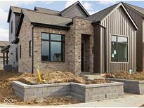 Striking new construction home with a unique brick and vertical siding exterior at 1668 Carrollton Rail Dr, Westfield, IN 46074