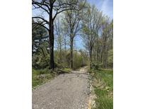 Gravel driveway leading to a wooded property with mature trees and natural surroundings at 8448 E Dobbs Cemetary Rd, Columbus, IN 47201