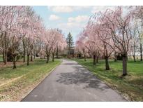 Long driveway leads to a brick home, framed by flowering trees, creating a serene and inviting entrance at 8551 E 300 S, Zionsville, IN 46077
