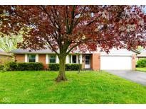 Charming brick home with a well-manicured lawn and a beautiful, mature tree in the front yard at 507 S Grant St, Brownsburg, IN 46112