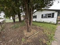 Exterior view of a home's front yard with a young tree and a white house with black shutters at 4109 East 21St St, Indianapolis, IN 46218