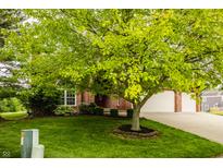 Charming brick home with a well-manicured lawn and mature tree in front at 6307 Keeneland Ct, Indianapolis, IN 46278
