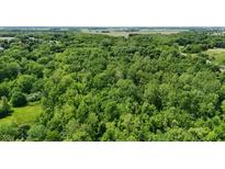 Overhead view showcases the vast expanse of dense foliage on a tree covered property at 7811 N County Road 500 E, Pittsboro, IN 46167