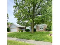 Charming one-story home featuring a well-maintained front yard and a mature tree at 907 Corey Ln, Plainfield, IN 46168
