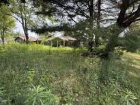 Quaint single-story home featuring an unfinished front yard with mature trees at 4633 S County Road 500 E, Plainfield, IN 46168