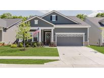 Charming single-Gathering home with gray siding, manicured lawn, and a welcoming two-car garage at 10725 Crum Ct, Fishers, IN 46037