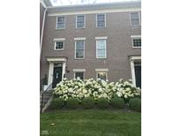Charming brick townhome featuring a black front door, elegant trim, and lush hydrangea bushes at 12838 Bird Cage, Carmel, IN 46032