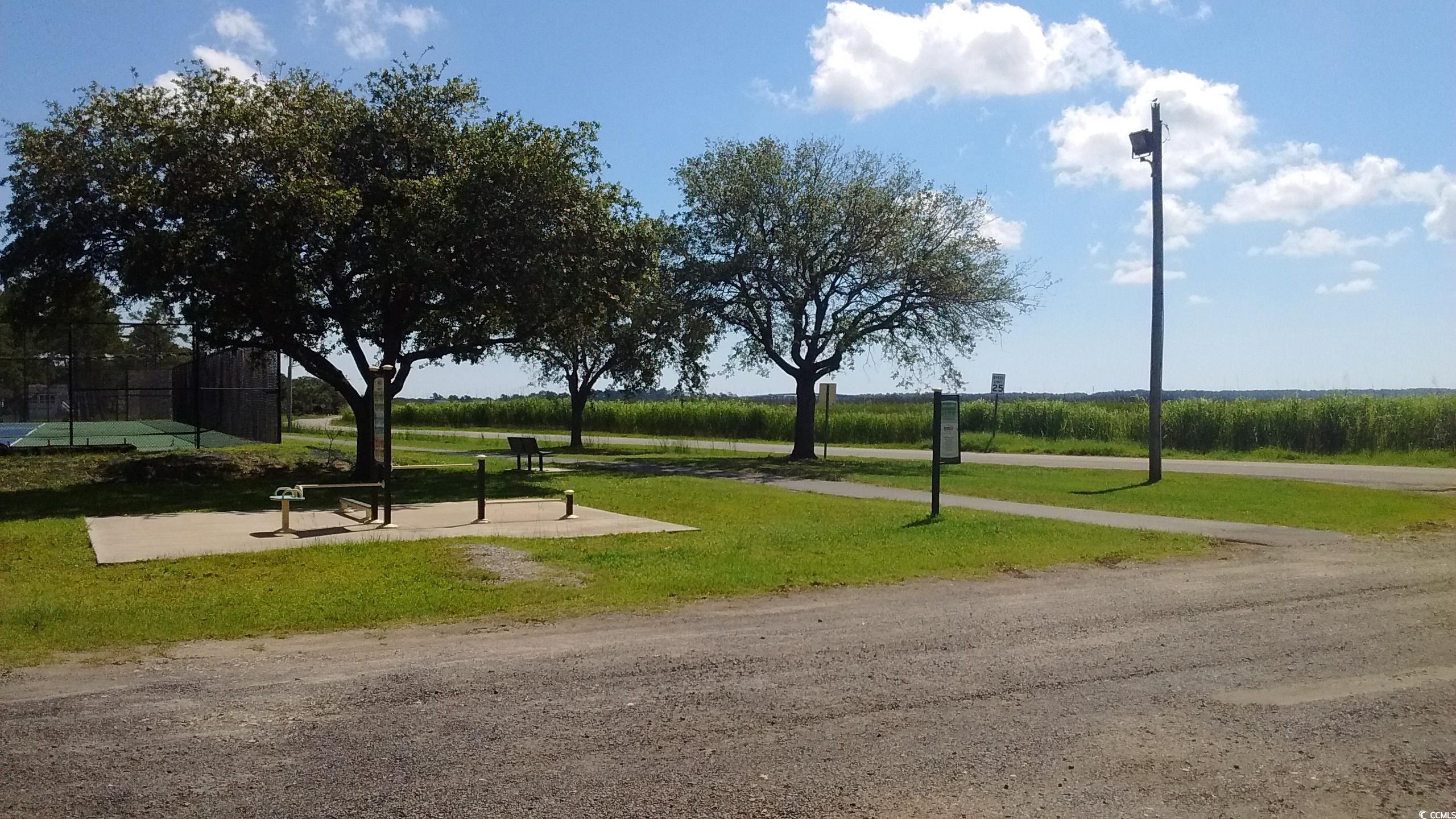 Photo #35