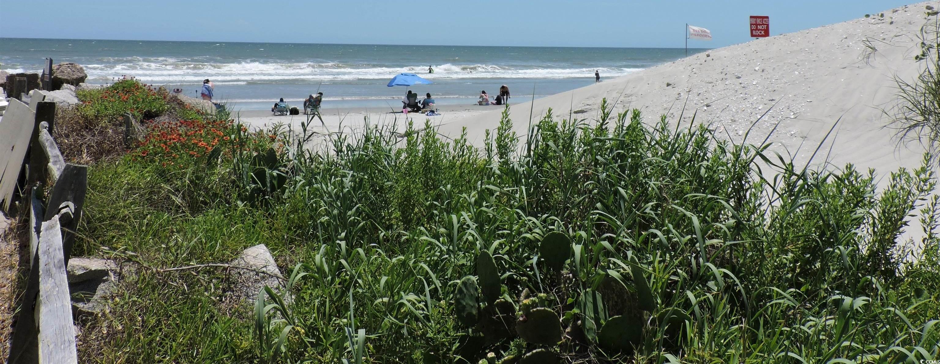 Photo #36