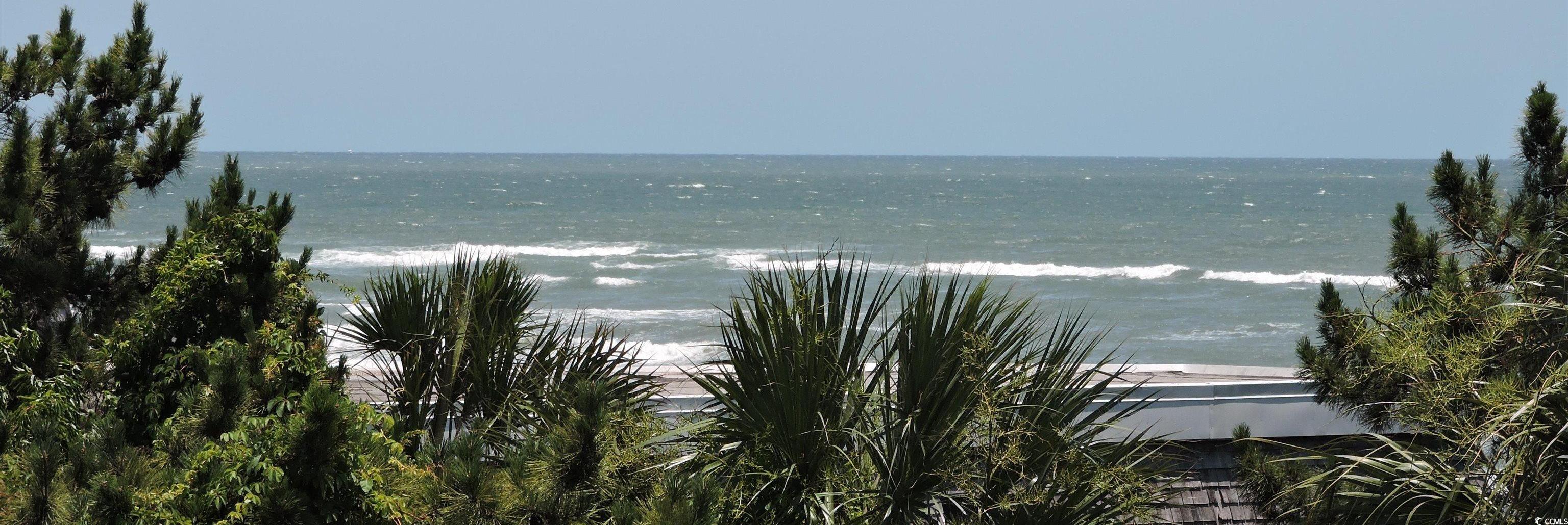 Photo #24