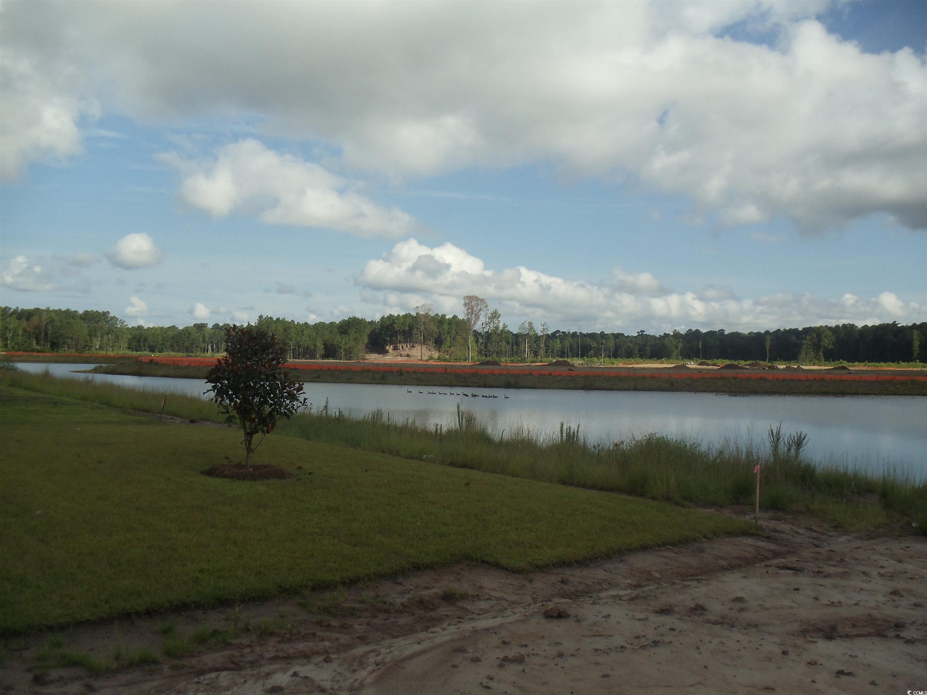 Photo #6