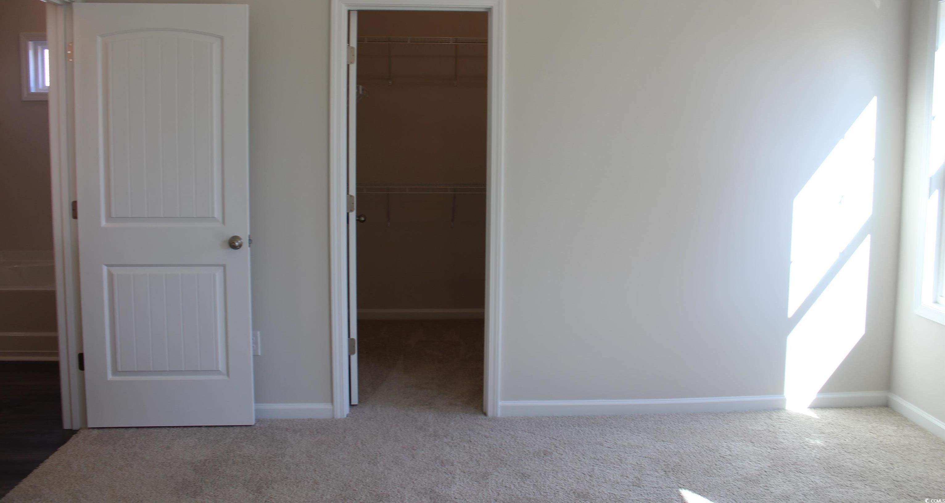 Photo #19