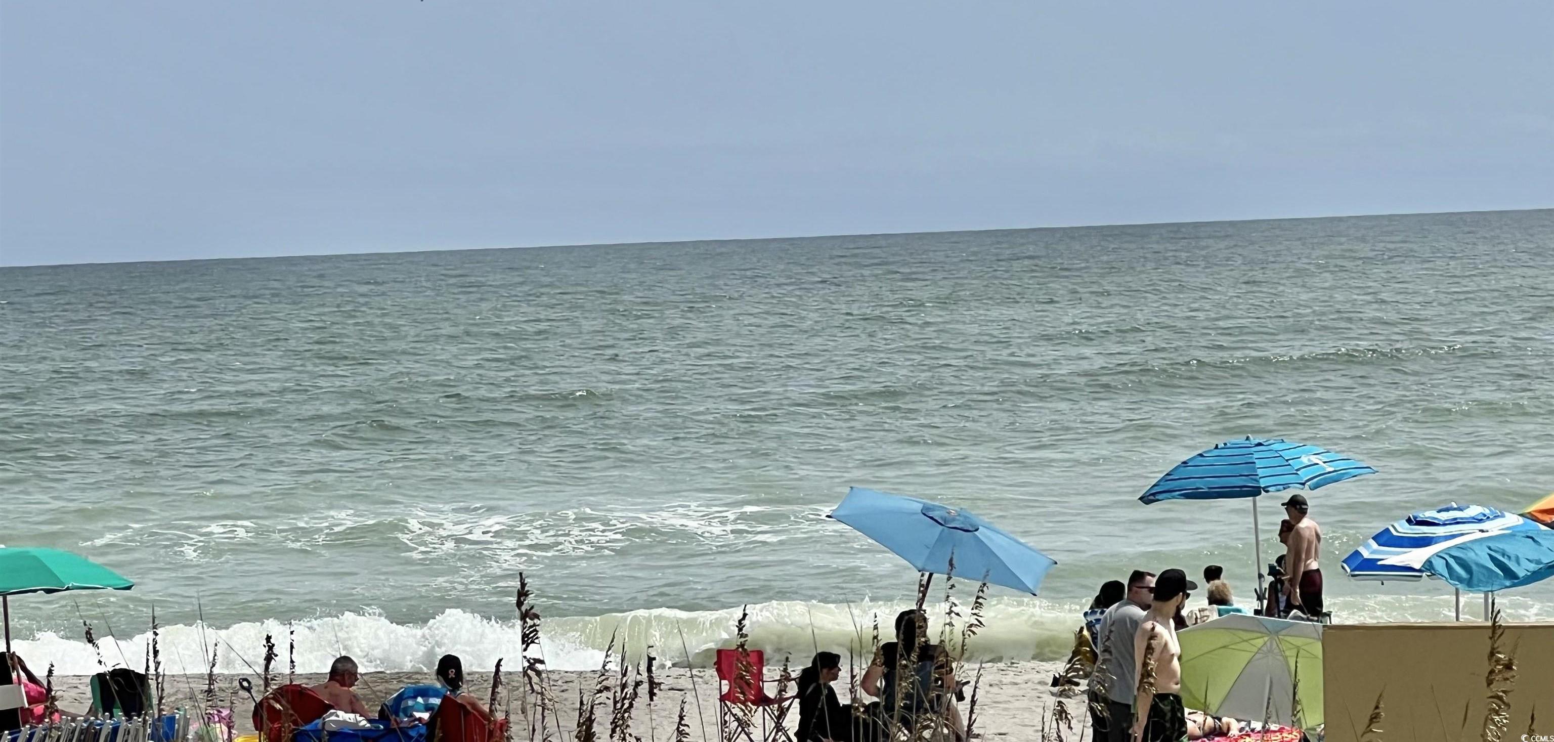 Photo #31