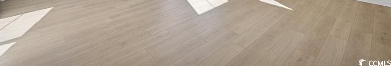 Photo #12
