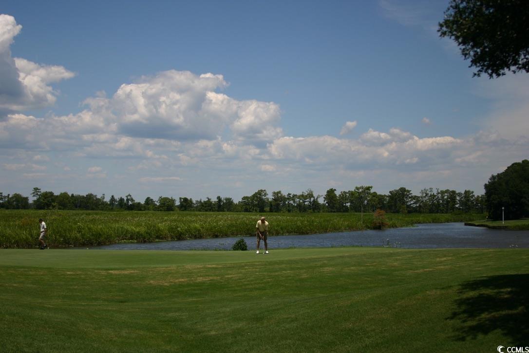 Photo #33