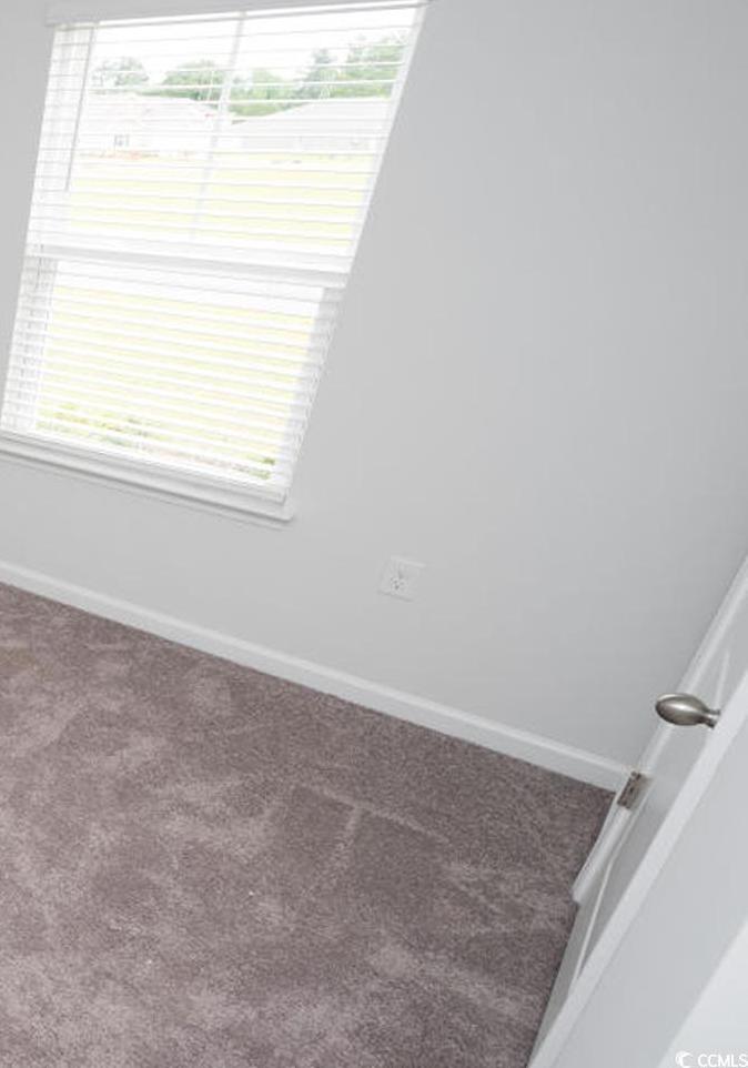 Photo #4