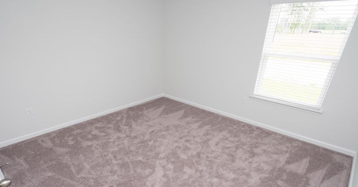 Photo #7