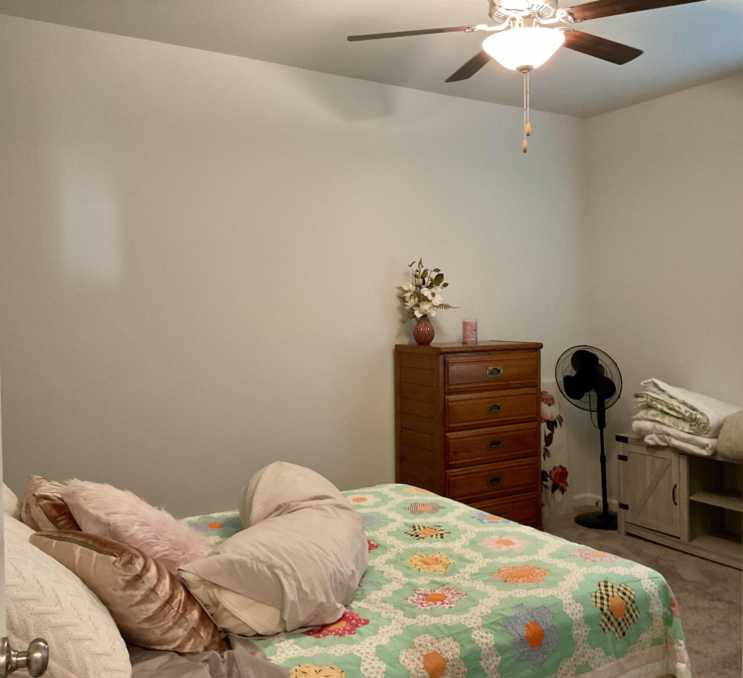 Photo #13